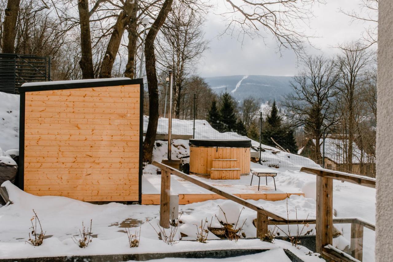 Apartamenty Larice - Podgrzewany Basen, Balia I Sauna Świeradów-Zdrój Kültér fotó