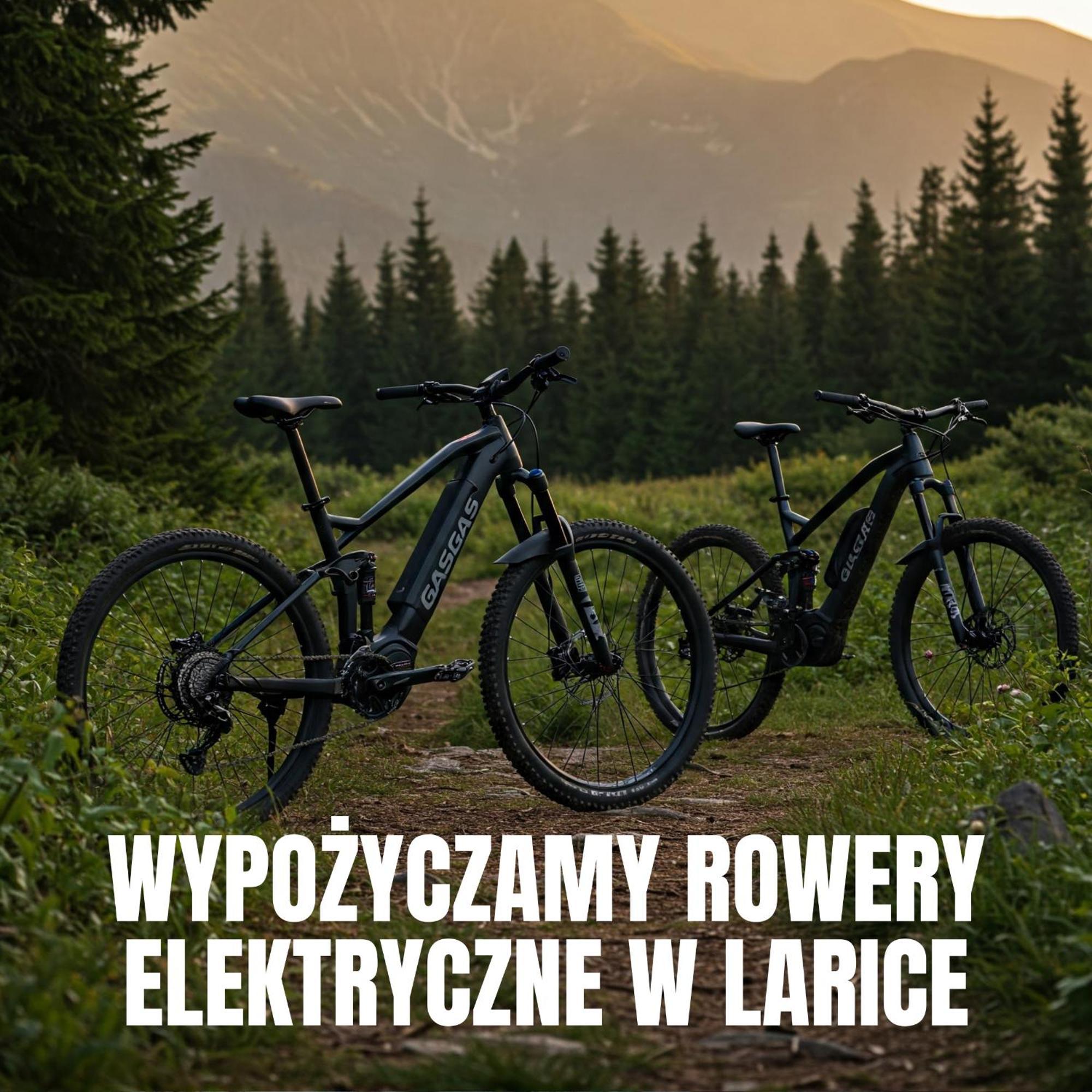 Apartamenty Larice - Podgrzewany Basen, Balia I Sauna Świeradów-Zdrój Kültér fotó